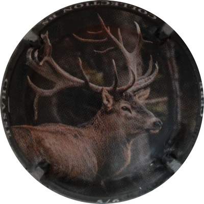 N°1380d 05 sur 06, Cerf 
Photo Jacques GOURAUD
