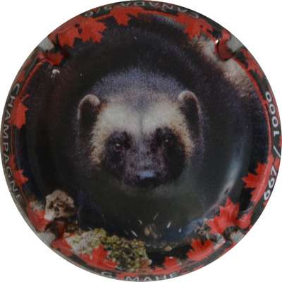 N°10d Canada, vison, 05-sur 06, 1000 expl
Photo Jacques GOURAUD
