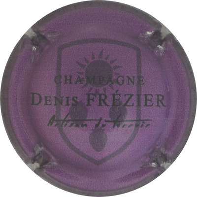 N°10e Violet métallisé et noir
Photo jacques GOURAUD
