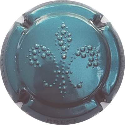 N°123l Estampée turquoise
Photo Christophe LELU
Mots-clés: NR