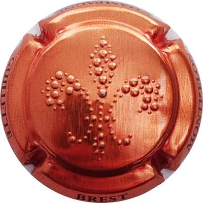 N°123m Estampée cuivre
Photo Christophe LELU
Mots-clés: NR