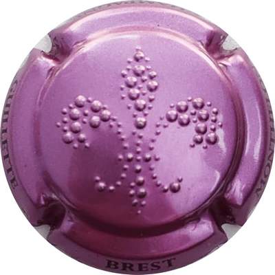 N°123n Estampée violet métallisé
Photo Christophe LELU
Mots-clés: NR