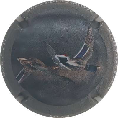 N°131a Canard, 360 expl
Photo Christophe LELU
