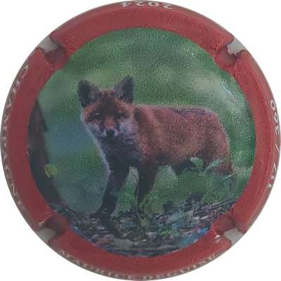 N°131b Renard, 360 expl
Photo Christophe LELU
