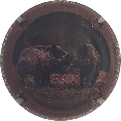 N°131d Sangliers, 360 expl
Photo Christophe LELU
