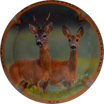 N°1380a 02 sur 06, Chevreuil
Photo Jacques GOURAUD
