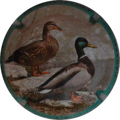 N°1380b 03-sur 06, Canard
Photo Jacques GOURAUD
