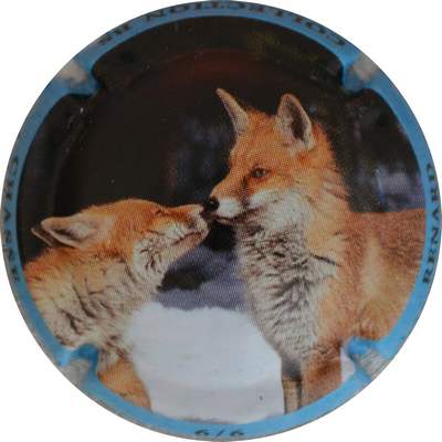 N°1380e 06 sur 06, Renard 
Photo Jacques GOURAUD
