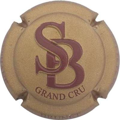 N°13 Estampée, or foncé, SB bordeaux
Photo Jacky MICHEL
