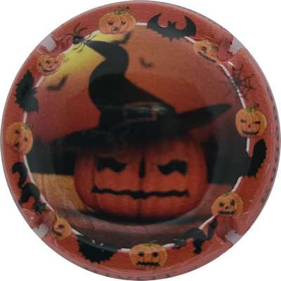 N°14a Série de 6 (Halloween)
Photo Joelle MENNORET
