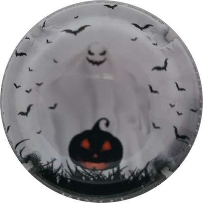 N°14a Série de 6 (Halloween)
Photo Joelle MENNORET
