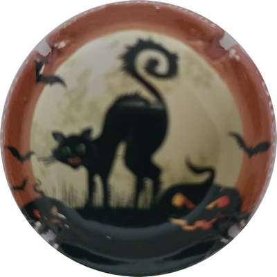 N°14c Série de 6 (Halloween)
Photo Joelle MENNORET
