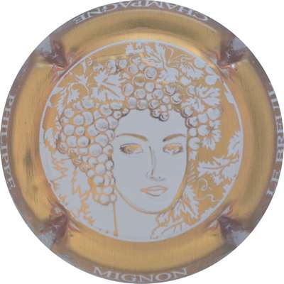 N°152b Estampée blanc, contour or-jaune
Photo Jacques GOURAUD
