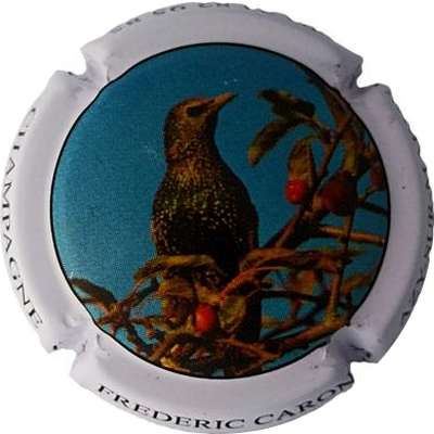 N°15 L'étourneau
Photo Jacky MICHEL
