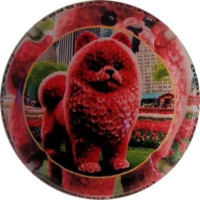 N°16a Chien, 1000 expl
Photo Christophe LELU
