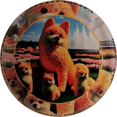 N°16b Chiens, 1000 expl
Photo Christophe LELU
