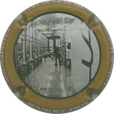 N°16c Contour kaki foncé
Photo Jacques GOURAUD
