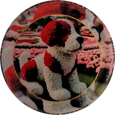 N°16c Chien, 1000 expl
Photo Christophe LELU
