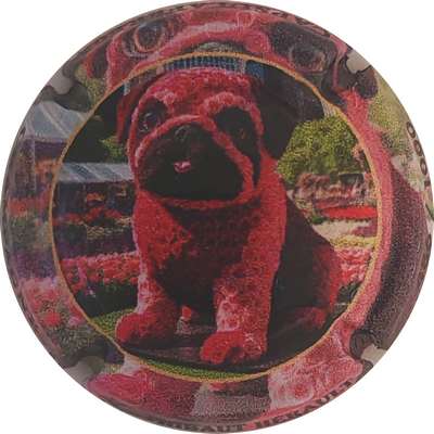 N°16d Chien, 1000 expl
Photo Christophe LELU
