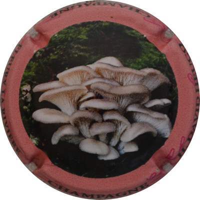 N°179f Pleurote, pleurote au verso
Photo Jacques GOURAUD
