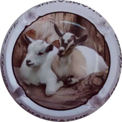 N°17b Chévre
Photo Christophe LELU
