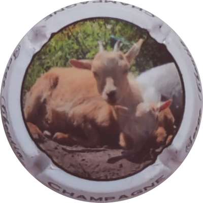 N°17c Chévre
Photo Christophe LELU
