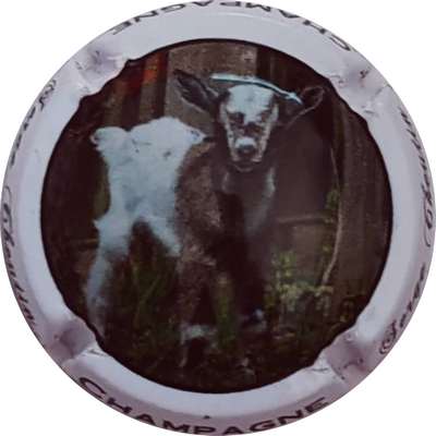 N°17d Chévre
Photo Christophe LELU
