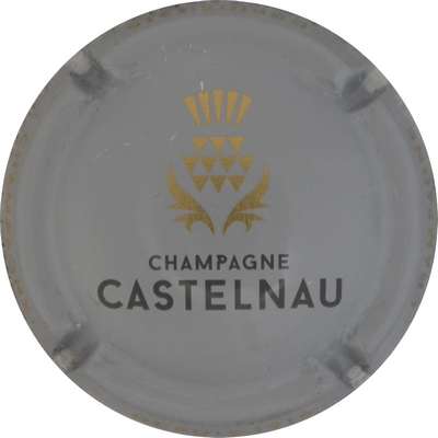 N°18d Gris, noir et or
Photo Gérard DEMOLIN 
