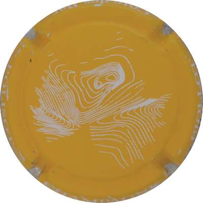 N°20b Jaune et blanc
Photo Jacques GOURAUD
