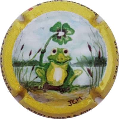 N°23a Grenouille, contour jaune
Photo Christophe LELU
