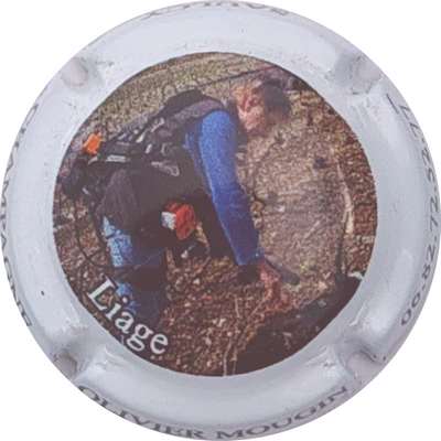 N°25a Liage
Photo Christophe LELU
