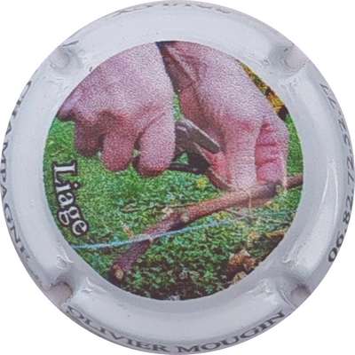 N°25c Liage
Photo Christophe LELU
