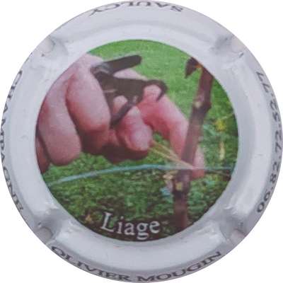 N°25 Liage
Photo Christophe LELU
