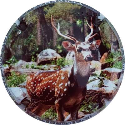 N°26d Cerf
Photo Christophe LELU
