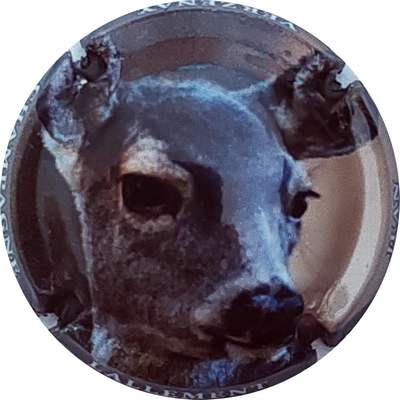 N°26e Cerf
Photo Christophe LELU
