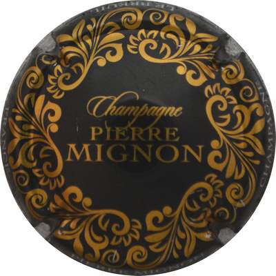 N°278b Noir et or
Photo Jacques GOURAUD
