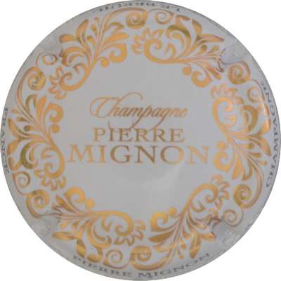 N°278c Blanc et or
Photo Jacques GOURAUD
