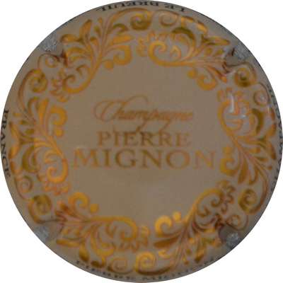 N°278d Crème et or
Photo Jacques GOURAUD
