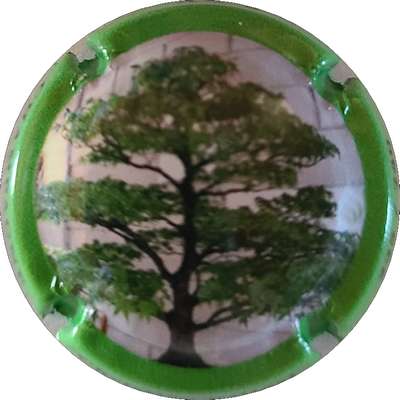 N°28a Bonzai, contour vert
Photo Joëlle MENNERET
