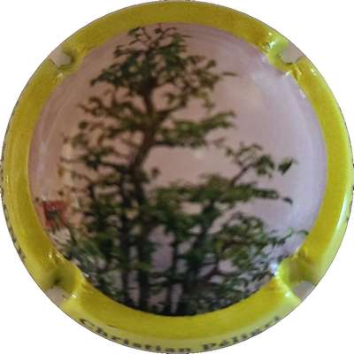 N°28c Bonzai, contour vert-jaune
Photo Joëlle MENNERET
