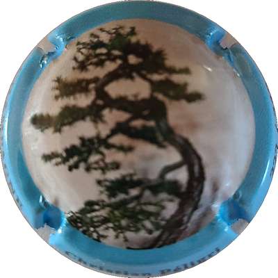 N°28e Bonzai, Contour bleu
Photo Joëlle MENNERET
