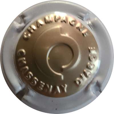 N°29h Estampée bronze, contour blanc, écriture fine
Photo Joëlle MENNERET
