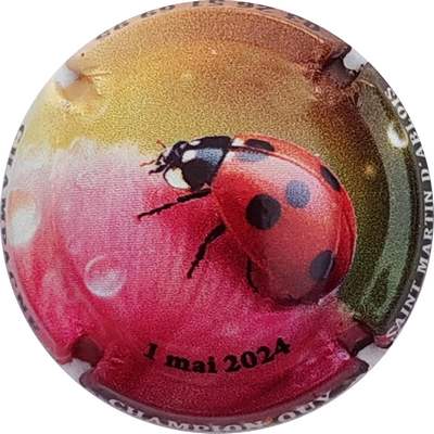 N°34b Coccinelle, 1 mai 2024
Photo Christophe LELU
