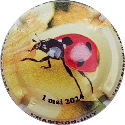 N°34c Coccinelle, 1 mai 2024
Photo Christophe LELU
