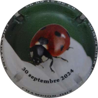 N°34e Coccinelle, 30 Septembre 2024
Photo Jacques GOURAUD
