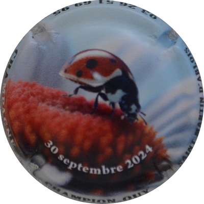 N°34f Coccinelle, 30 septembre 2024
Photo Jacques GOURAUD
