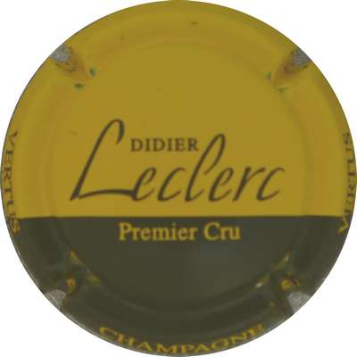 N°35g Jaune et noir
Photo Jacques GOURAUD
