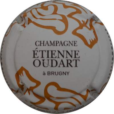 N°37b Blanc, noir et brun
Photo Jacques GOURAUD
