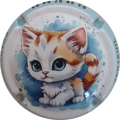N°404c Chat, contour bleu ciel
Photo France Marie
