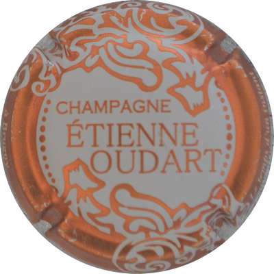 N°40x NR Blanc, contour cuivre
Photo Jacques GOURAUD
Mots-clés: NR